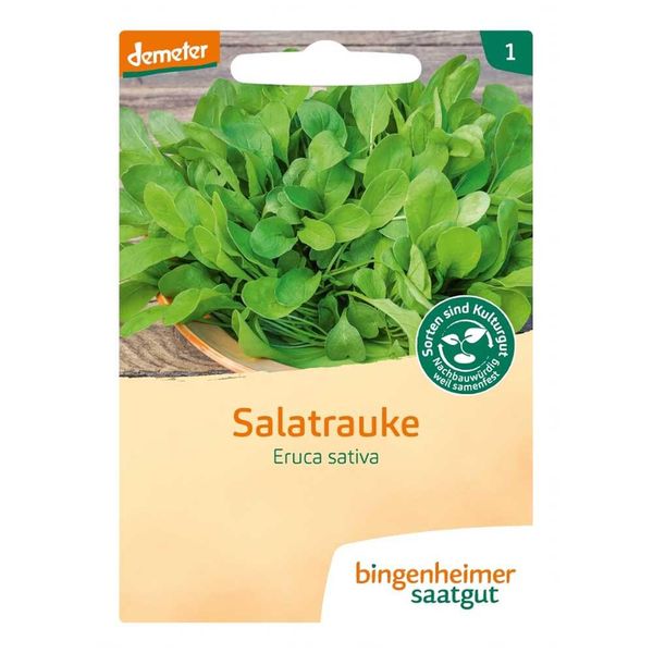 Rucola Da Insalata Ruca - Eruca Sativa-image