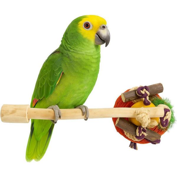Java Pogo Con Giocattoli L - Un Pezzo Unico Di Natura Per Pappagalli Di Medie E Grandi Dimensioni-image