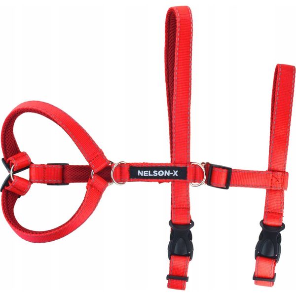 Pettorina Anti-Fuga Per Cani Riflettente Nelson-X Paw Taglia L-image