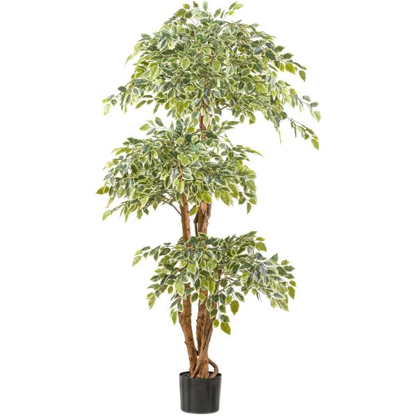 Ficus Benjamina Pianta Artificiale 165 Cm Con 2230 Foglie In Vaso Di Plastica 17X14,5 Cm-image
