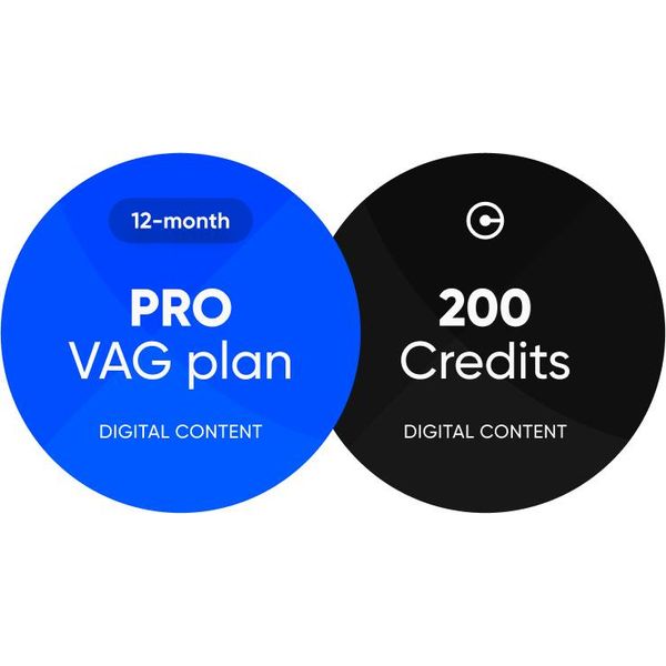 Obdeleven 2 + 12 Mesi Pro + 200 Crediti-image
