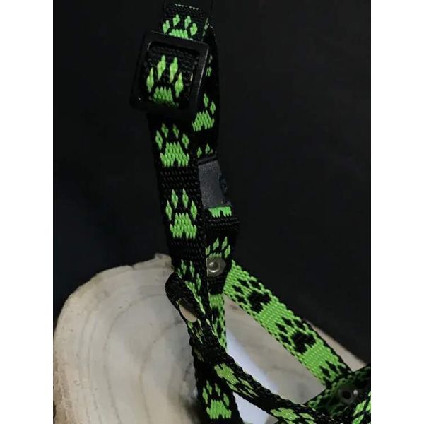 Museruola In Nylon Per Cani Palkar Misura. 0,5 14 Cm X 4 Cm Nero-Verde-image