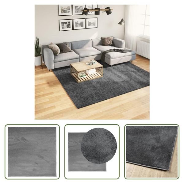 The Living Store Tappeto Oviedo A Pelo Corto Antracite 240X240 Cm-image
