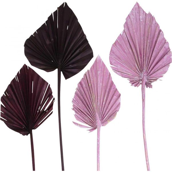 Miscela Di Foglie Di Palma Decorative Con Bacche Rosa E Bianche Lavate, Prodotto Naturale Per Servizio Funebre E Decorazione Della Tavola, 65 Pezzi-image