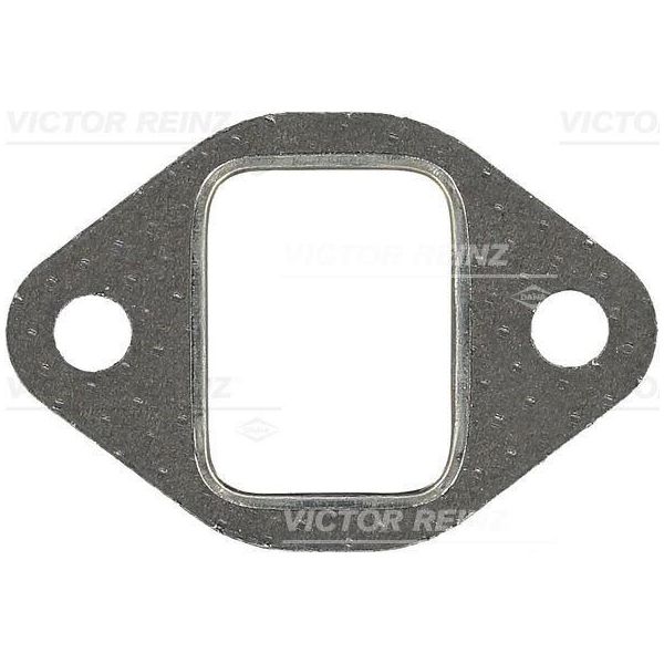 Guarnizione Collettore Di Scarico Vw 2,5Tdi-image