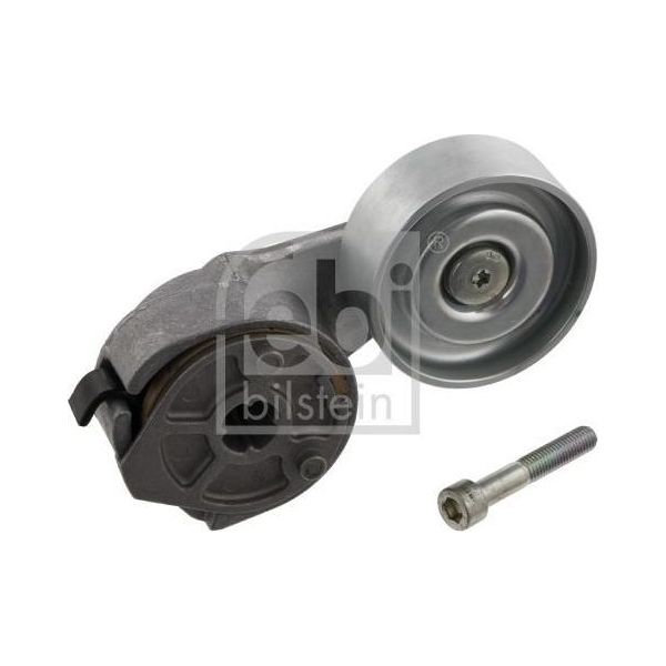 Tenditore Cinghia Multifunzione Iveco-image