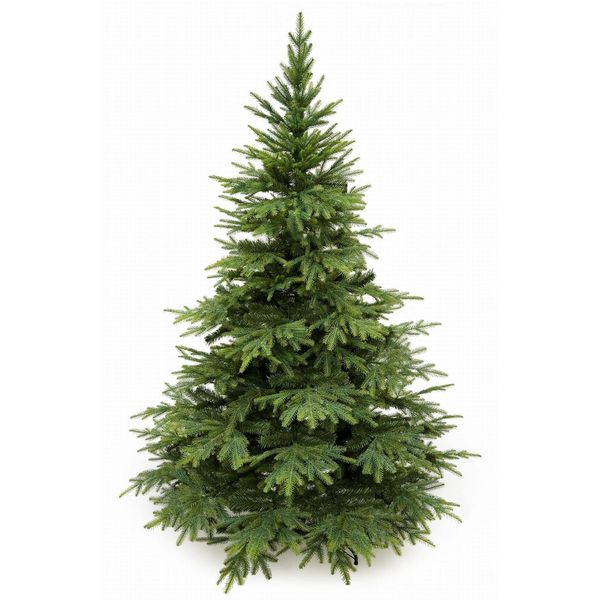 Albero Di Natale Artificiale In Abete Caucasico Naturale Pvc + Pe Altezza 220 Cm-image