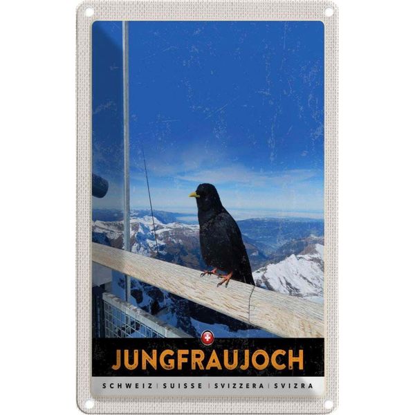 Vianmo Insegna Di Latta 30X20 Cm Jungfraujoch Schweiz Rabe Winter Natur-image
