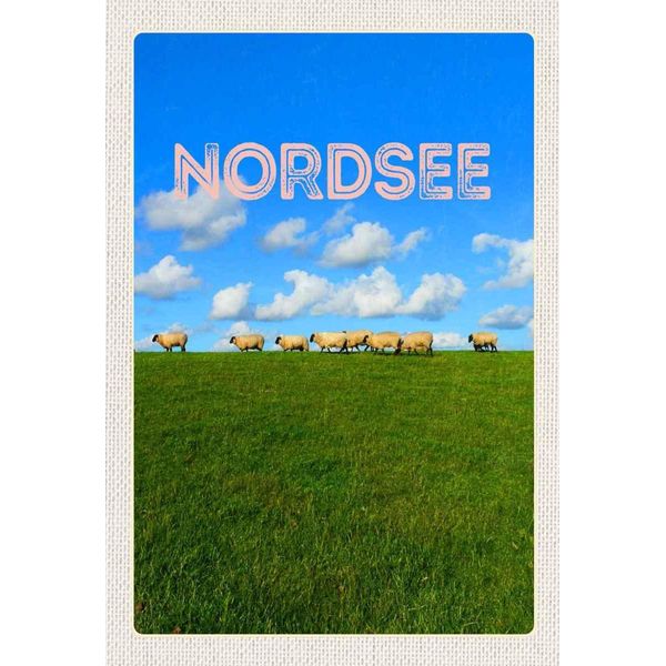 Vianmo Insegna In Legno 30X20 Cm Nordsee Wolken Wiese Schafe Natur-image