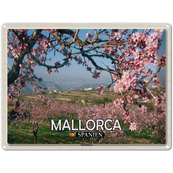Vianmo Insegna Di Latta 30X40 Cm Mallorca Spanien MandelblüTen-image