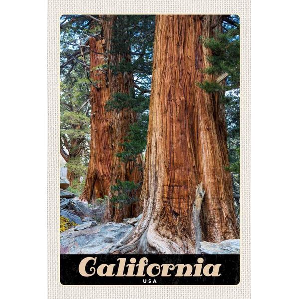 Vianmo Insegna In Legno 30X20 Cm California Amerika Natur Wald BäUme-image