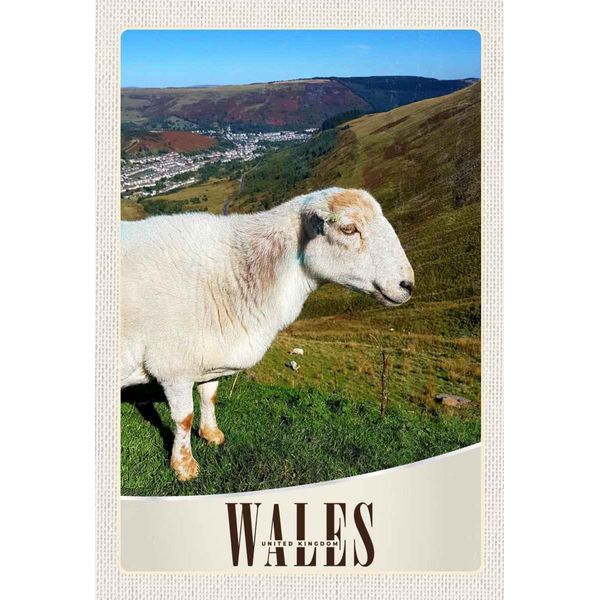 Vianmo Insegna In Legno 30X20 Cm Wales United Kingdom Schaf Wiese Natur-image