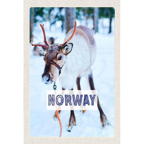 Vianmo Insegna In Legno 18X12 Cm Norwegen Hirsch Winterzeit Schnee-image