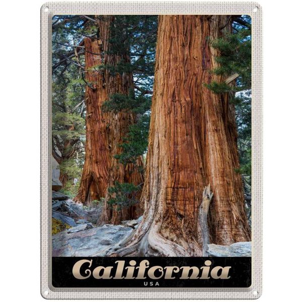 Vianmo Insegna Di Latta 40X30 Cm California Amerika Natur Wald BäUme-image