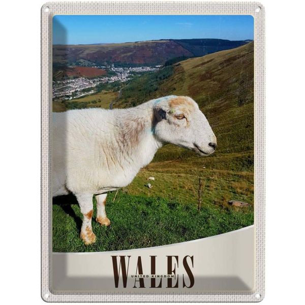 Vianmo Insegna Di Latta 40X30 Cm Wales United Kingdom Schaf Wiese Natur-image