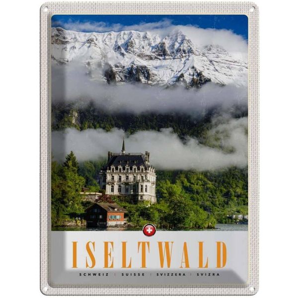 Vianmo Insegna Di Latta 40X30 Cm Iseltwald Gebirge Schnee Wald Schloss-image