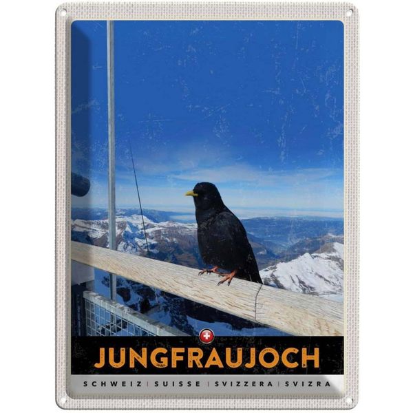 Vianmo Insegna Di Latta 40X30 Cm Jungfraujoch Schweiz Rabe Winter Natur-image