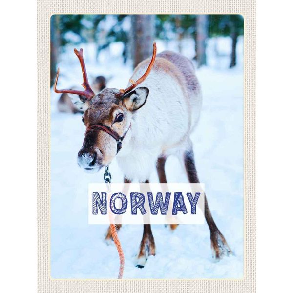 Vianmo Insegna In Legno 40X30 Cm Norwegen Hirsch Winterzeit Schnee-image