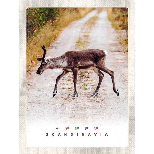 Vianmo Insegna In Legno 40X30 Cm Skandinawien Hirsch Natur Weg-image
