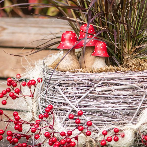 Decorazione Agarico Mosca Funghi Di Legno Set Di 3 Autunno Decorazione Da Tavolo Rosso Bianco 6-10Cm-image
