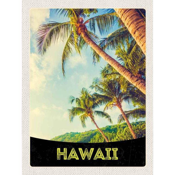 Vianmo Insegna In Legno 40X30 Cm Hawai Insel Strand Palmen Meer-image