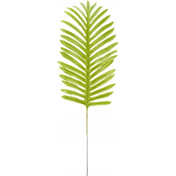 Ramo Di Palma Decorativo, 51 Cm, Confezione Da 1.-image