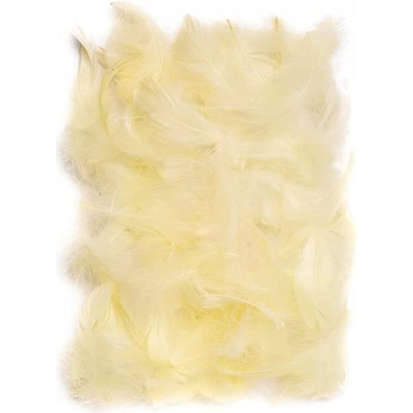 Piume Di Ecri 10-12 Cm, 50 Pezzi.-image