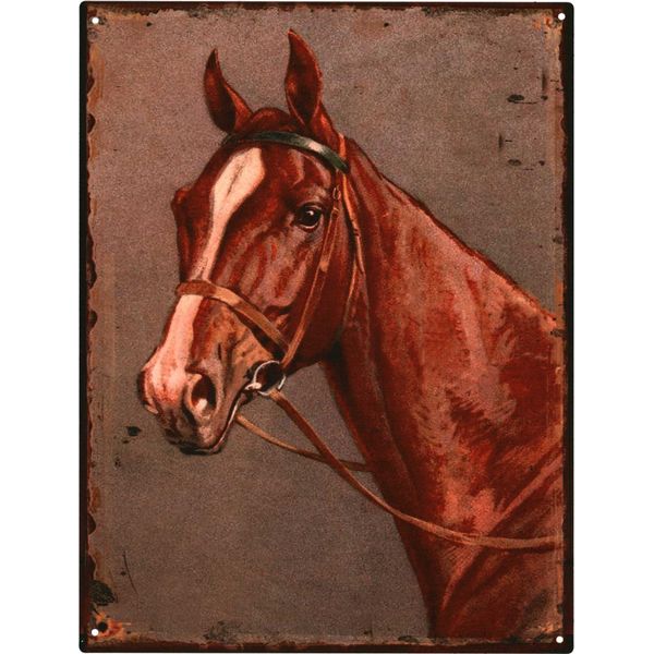 Moritz Cartello Decorativo In Latta Cavallo Testa Di Cavallo Cartello In Metallo Design Retro Vintage Per Decorazione Decorazione Murale-image