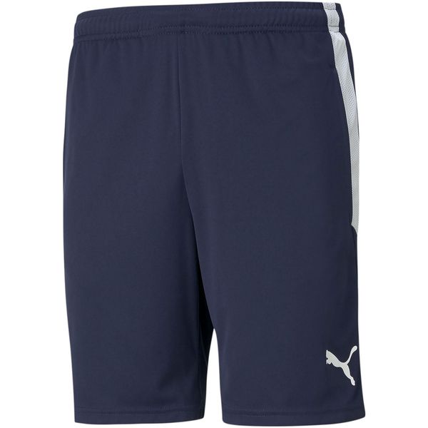 Puma Teamliga Pantaloncini Da Allenamento Uomo Blu Scuro Bianco Xxxl-image
