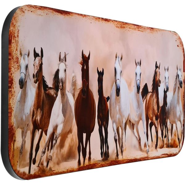 Insegna Di Latta Moritz Xxl Cavalli Fattoria 100 X 46,5 Vintage Retrò Nostalgia Metallo Decorazione-image