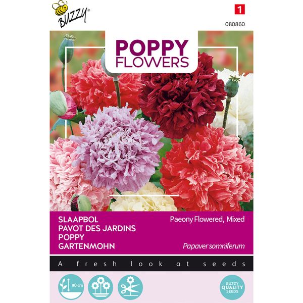 Buzzy Poppy Fiori Papavero Paeoniflorum Gef. Mix. Semi - Circa 1 Gr | Buzzy_080860-image