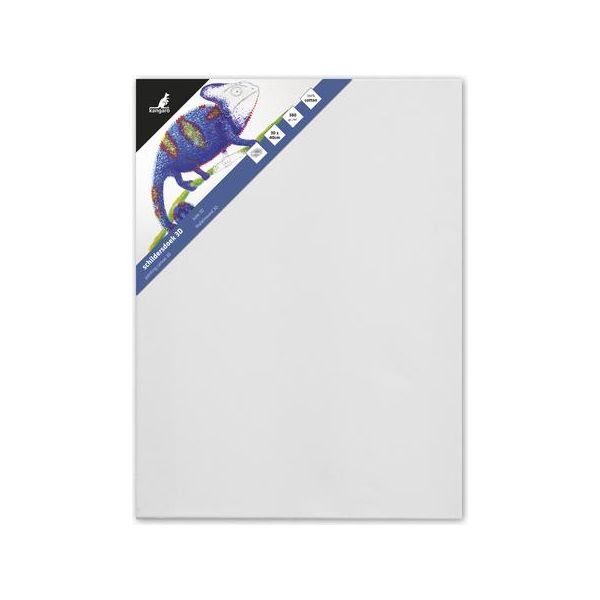 Kangaro K-820021 Kangaro Telaio Per Barella 3D, (L)500 X (P)37 X (H)600 Mm, Bianco-image