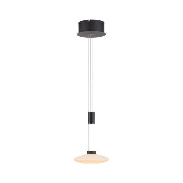 Paul Neuhaus Pendelleuchte "Lautada", Schwarz, 1, Ø 23Cm, 1 Stk., Leuchten, Led, Dimmbar, Simply Dim, Memory, Nach Trennung Vom Netz, Pendelleuchte-image