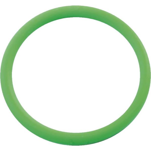 O-Ring 54X3,5 Hd OR64 Verdesil Filtro Distributore 228215 Agroplast-image