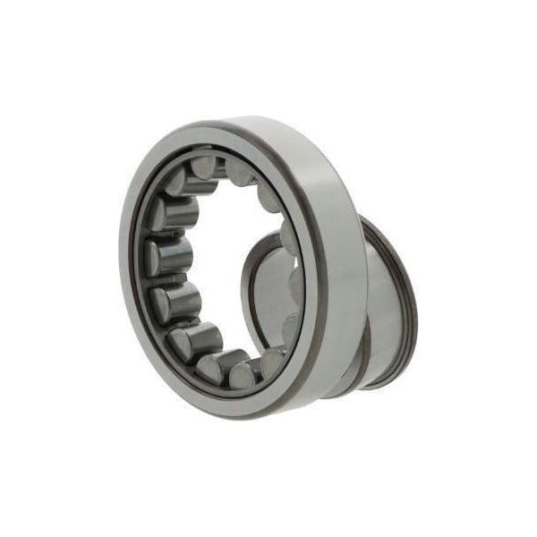 Cuscinetto A Rulli Cilindrici NJ2320 ECJ/C3 Id 100Mm Od 215Mm Larghezza73Mm Skf-image