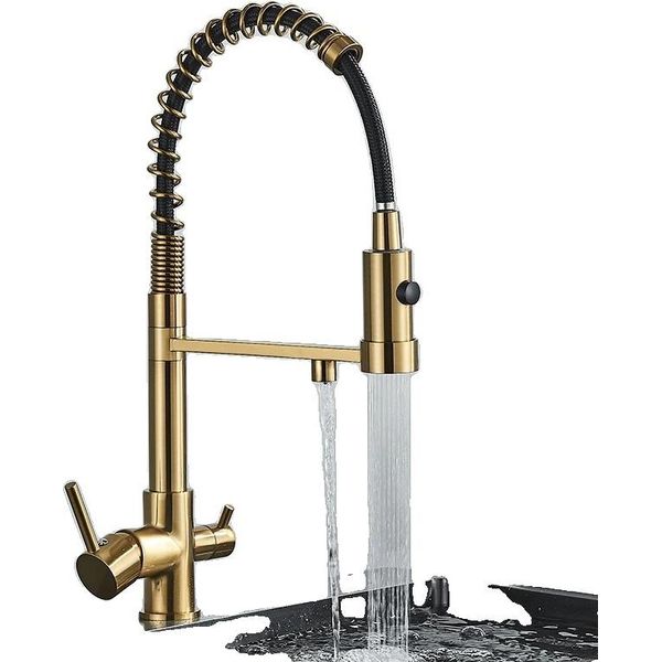 Rubinetto Da Cucina Ad Acqua Filtrata, Design A Doppia Maniglia, Funzione Spray Estraibile, Oro Spazzolato-image