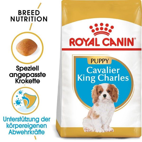 Royal Canin Breed Cavalier King Charles Junior 1,5 Kg-image