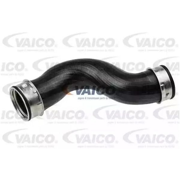 Vaico V10-4380 Tubo Flessibile Dell'aria Di Sovralimentazione Turbo Per Vw Golf V Hatchback (1K1) Touran (1T1, 1T2) Passat Variant (3C5) Golf Plus (5M1, 521) Caddy Iii Station Wagon-image
