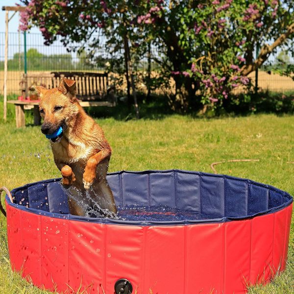 Piscina Per Cani Pieghevole Lionto, Vasca Per Bambini In Pvc Resistente, Antigraffio E Antiscivolo, Con Valvola Di Scarico, Diametro 80 Cm, Altezza 20 Cm-image