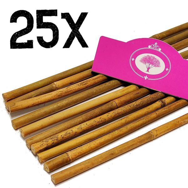 Set Di 25X Bastoni Di Bambù - Circa 70 Cm - Spessore 10/12 Mm - Bastoni Tonkin - Bambù - Supporto Per Piante-image