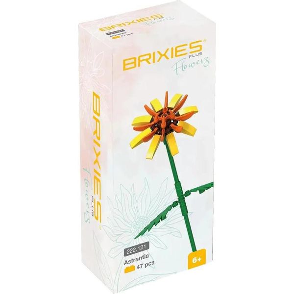 Brixies Plus Astrantia Gelb (*) (*) Stk-image
