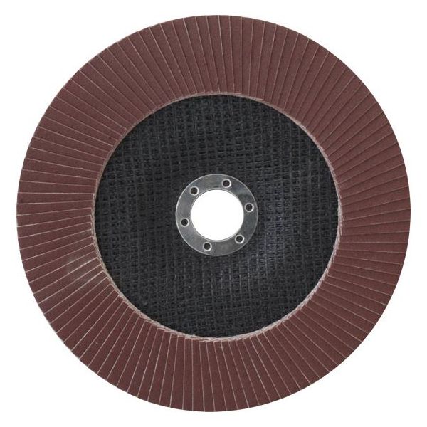 150 Mm Disco Abrasivi Lamellari 150X22,2 Mm Grana 240-image