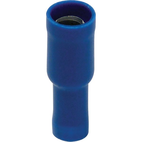 Carpoint Presa A Spina Rotonda 549 Blu Ø 5,0 Mm 10 Pezzi-image
