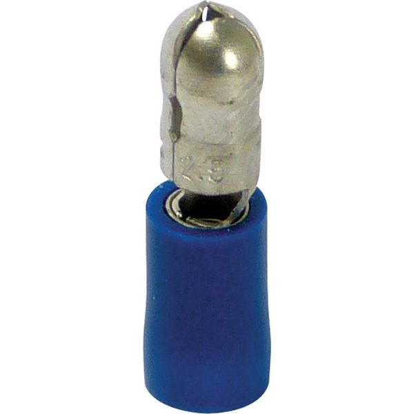 Tappo Rotondo Carpoint 550 Blu Ø 5,0 Mm 10 Pezzi-image