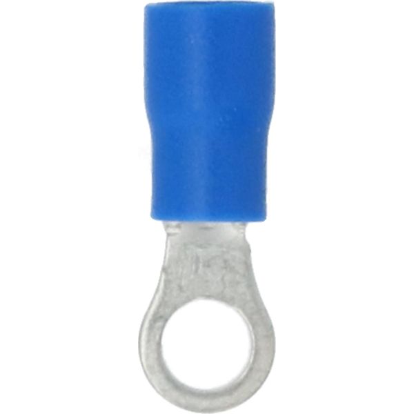 Carpoint Anello Capocorda 654 Blu M4 10 Pezzi-image