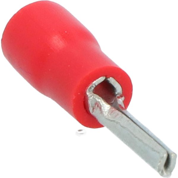 Capocorda Carpoint Rosa 566 Rosso Ø 1,9 Mm 10 Pezzi-image