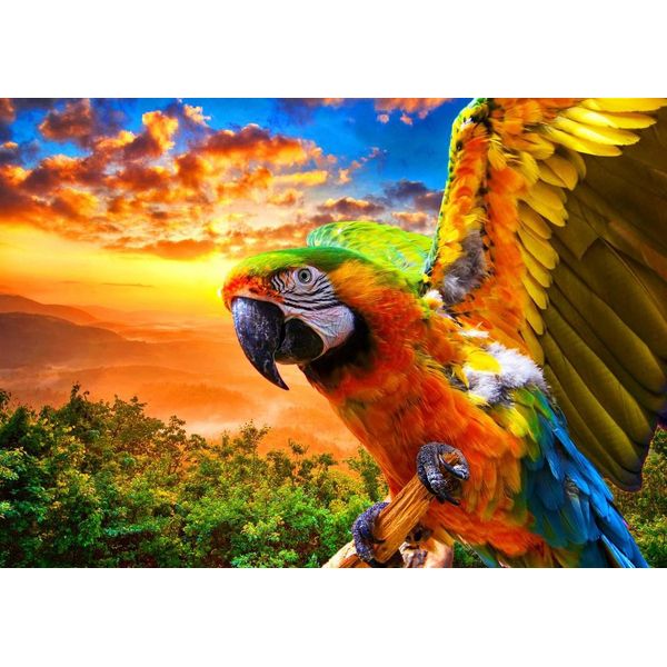Bluebird Puzzle Parrot - Puzzle Giocattolo Colorato Da 1000 Pezzi-image