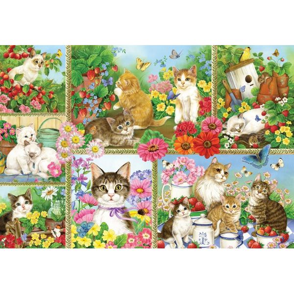 Puzzle Bluebird Gatti E Gattini - Puzzle 1000 Pezzi-image