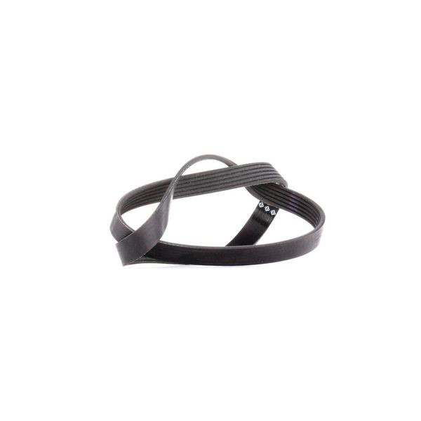 Ina | Cinghie Con Nervatura A V (Fb 6PK1078) Per Vw, Audi, Seat, CitroëN, Peugeot, Alfa Romeo, Skoda, Bmw, Fiat, Subaru, Lancia-image