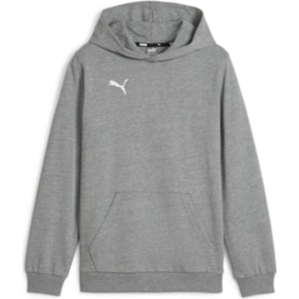 Puma Teamgoal Felpa Con Cappuccio Da Bambino - Grigio Chiaro Screziato-image